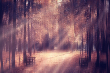 blurred background autumn nature landscape, abstract blur bokeh view of fall trees