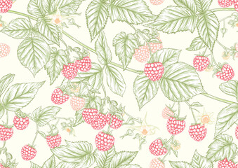 Raspberry. Ripe berries on branch. Seamless pattern, background. Graphic drawing, engraving style. Vector illustration on black background.
