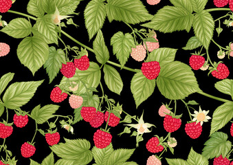 Raspberry. Ripe berries on branch. Seamless pattern, background. Graphic drawing, engraving style. Vector illustration on black background.