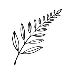Hand drawn doodle vector icon of a leaf, isolated on white background