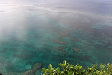 崖上から珊瑚礁