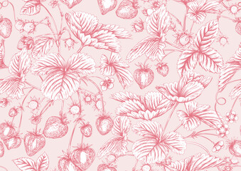 Strawberry. Ripe berries. Seamless pattern, background. Vector illustration. In graphic, egraving, botanical style in soft pink colors..