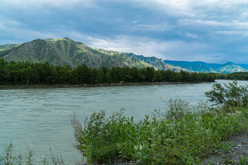 a trip to the Altai mountains in the summer periud