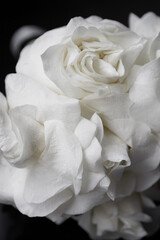 The bride's bouquet is a close-up. White flowers on a dark background.