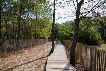 wooden pathway to access atlantic beach in Lege Cap Ferret gironde france