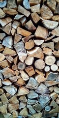 stack of firewood