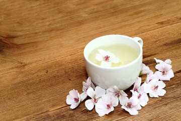 Fototapeta na wymiar Tea from Marshmallow, lat. Althaea officinalis, is good against cough.