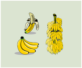 A set of banana illustration 