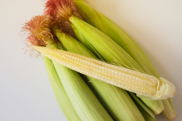 The baby corns isolted on white background. 