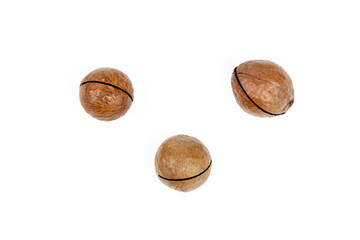 Roasted macadamia nuts in shell isolated on white background. Unshelled macadamia nuts, top view