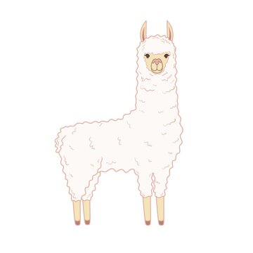 Cute llama. Vector illustration isolated on white background