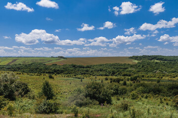Beautiful rural landscape with green fields and sparse woodlands under a blue sky with white cumulus clouds in the countryside. Summer landscape with fields and green woodlands.