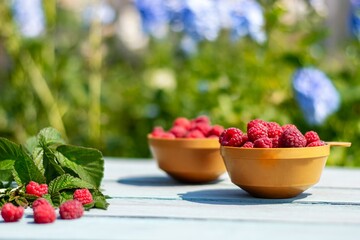 Organic fresh raspberries in a cup on a blue wooden background in the countryside. Village garden....