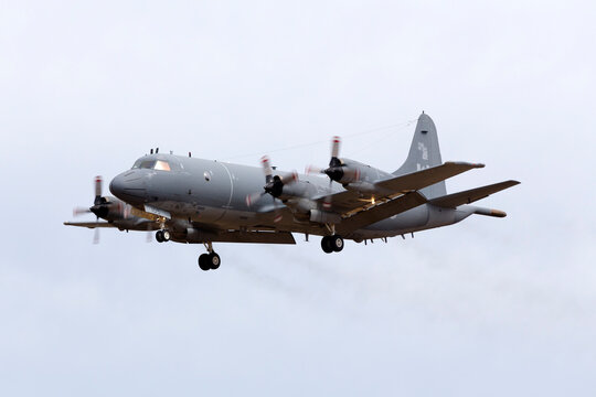 Luqa, Malta September 25, 2015: Canadian Air Force Lockheed CP-140 Aurora on finals runway 31.