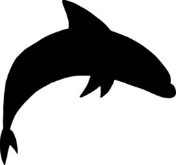 Dolphin silhouette