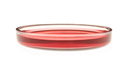 Petri dish with red liquid sample isolated on white