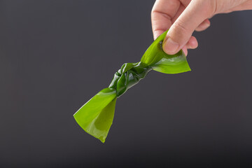 Green kelp knot for Asian marine cuisine