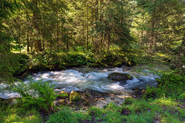 a strong flow in a mountain creek with melting water from the alps in summer