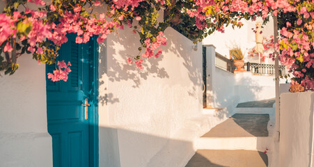 Entrance of a typical White cycladic architecture, house with blue door and blooming pink bougainvillea plant in Santorini island Greece. Inspirational idyllic romantic travel vacation background