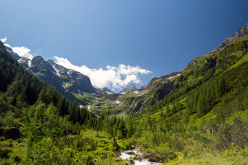 Fototapeta na wymiar beautiful panoramic view in the mountains the hohe tauern national park in austria at a sunny summer day
