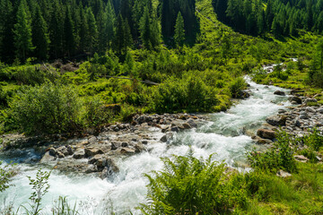 Obraz premium a strong flow in a mountain creek with melting water from the alps in summer