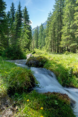 a strong flow in a mountain creek with melting water from the alps in summer