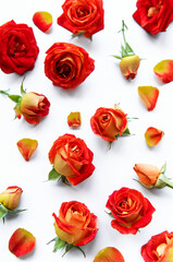 Fototapeta premium Flowers composition. Frame made of red roses and leaves on white background