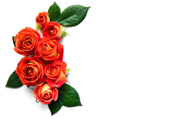 Flowers composition. Frame made of red  roses and leaves on white background