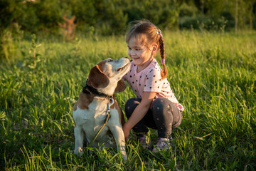 Friendship between a little girl and a beagle dog. A pet and a child look at each other in a park on the grass.