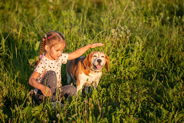 A cute girl with a beagle dog sits in the grass in the summer and enjoys the sunlight.