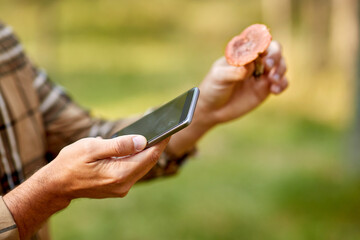 Obraz na płótnie Canvas technology, picking season and people concept - close up of male hands with smartphone using mobile app to identify mushroom