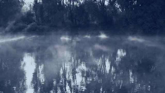 Beautiful dark filtered mysterious forest and foggy surface of river panorama. Fantasy 4k morning video landscape