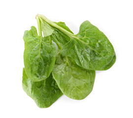 Fresh spinach leaves on white background