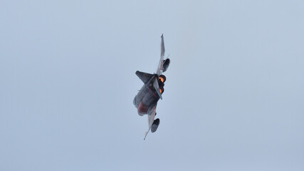 百里基地航空祭2018、ファントム