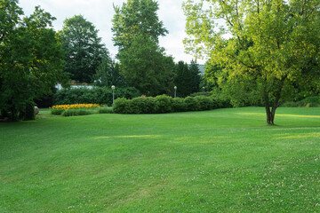Beautiful park landscape with lawn and trees