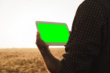 Close up of farmer's hands holding tablet with green screen in wheat field