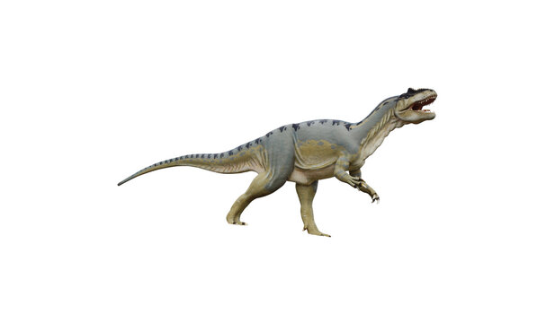 The dinosaur alone is isolated on a white background 3D rendering