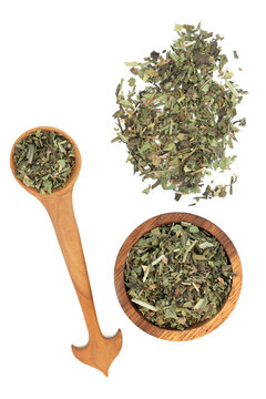 Plantain herb leaves used in herbal plant medicine to treat coughs, wounds, insect bites, stings, inflamed skin, eczema and dermatitis. On white background. Plantago lanceolata.