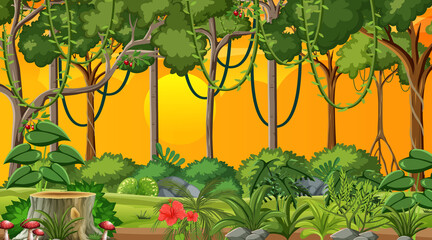 Fototapeta premium Forest at sunset time landscape scene