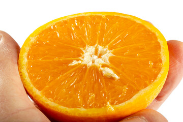 orange slice in hand - isolated on white background