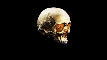 Gold Human Female Skull With Silver Teeth and Black Background Medical Anatomical Quarter Right Side 3d illustration render