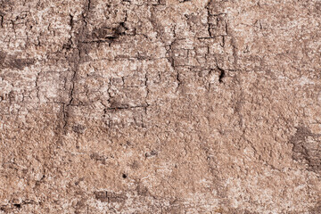 Texture old wood background.