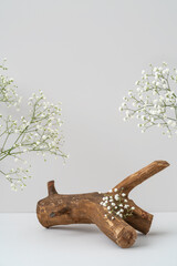 Wooden podium and gypsophila flowers on grey background mockup. Rough textured piece of wood for...