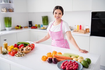 Obraz na płótnie Canvas Photo of optimistic brunette hair young lady cook wear white t-shirt apron at kitchen