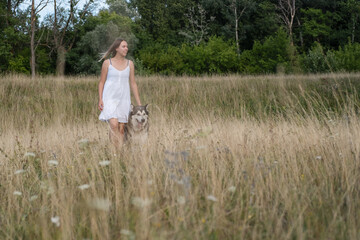 Naklejka na ściany i meble woman stand with alaskan malamute dog in summer field