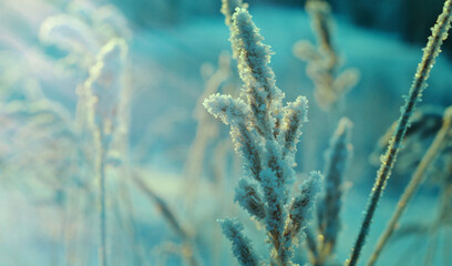 Winter scene