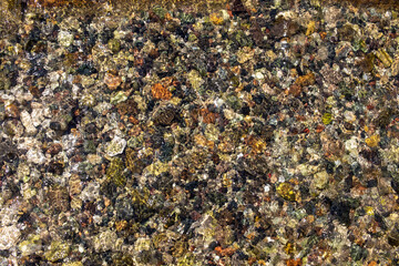texture of stone in river