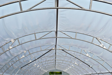 Greenhouse from a metal framework and a polyethylene film. Premises for growing vegetables and...