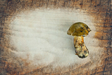 Mushrooms on a wooden board close up. Boletus edulis on an old scratched table. Copy space and free space near the mushroom.