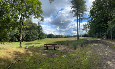 Park bench in National Park Dwingelderveld